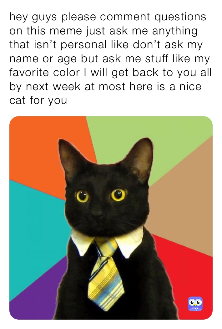 hey guys please comment questions on this meme just ask me anything that isn’t personal like don’t ask my name or age but ask me stuff like my favorite color I will get back to you all by next week at most here is a nice cat for you