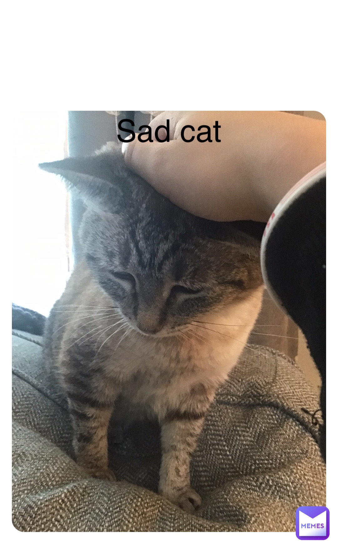 Double tap to edit Sad cat
