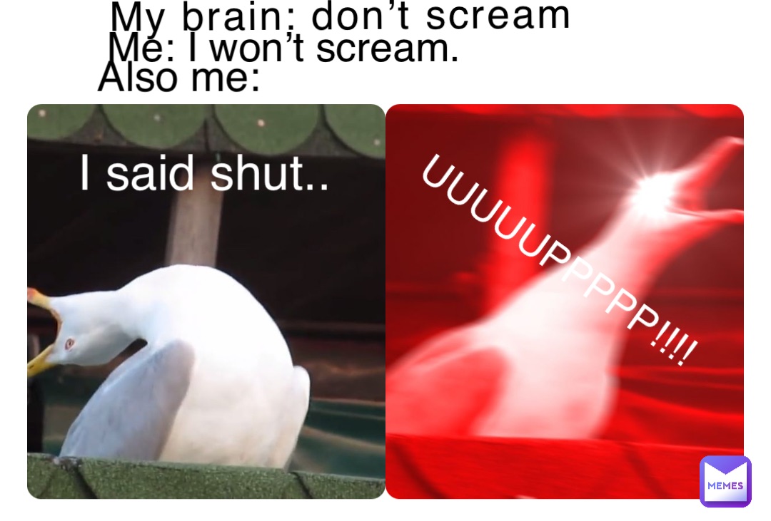 My brain: don’t scream Me: I won’t scream. Also me: I said shut.. UUUUUPPPPP!!!!