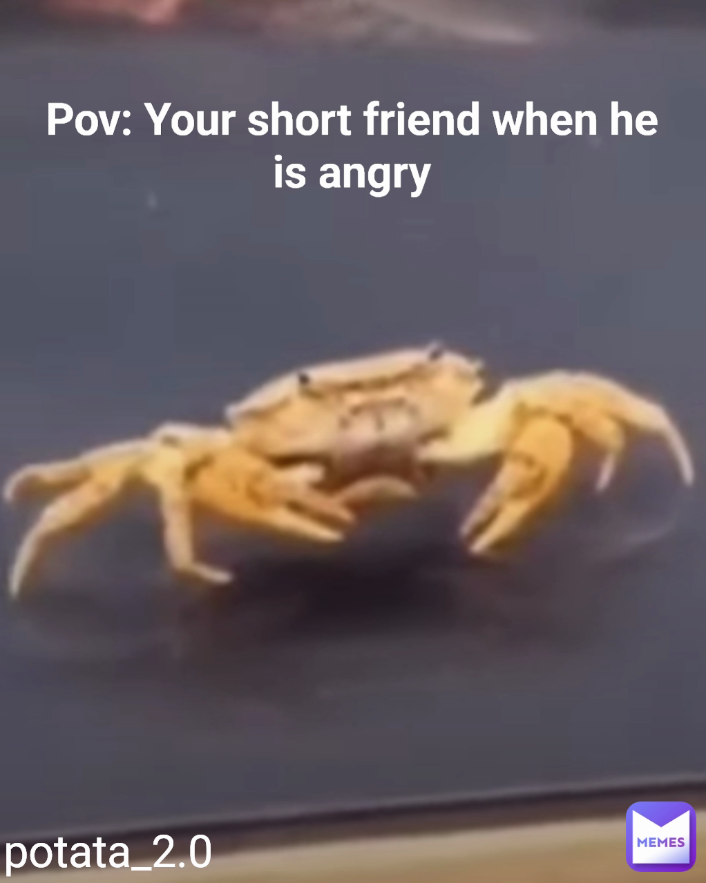 Pov: Your short friend when he is angry potata_2.0