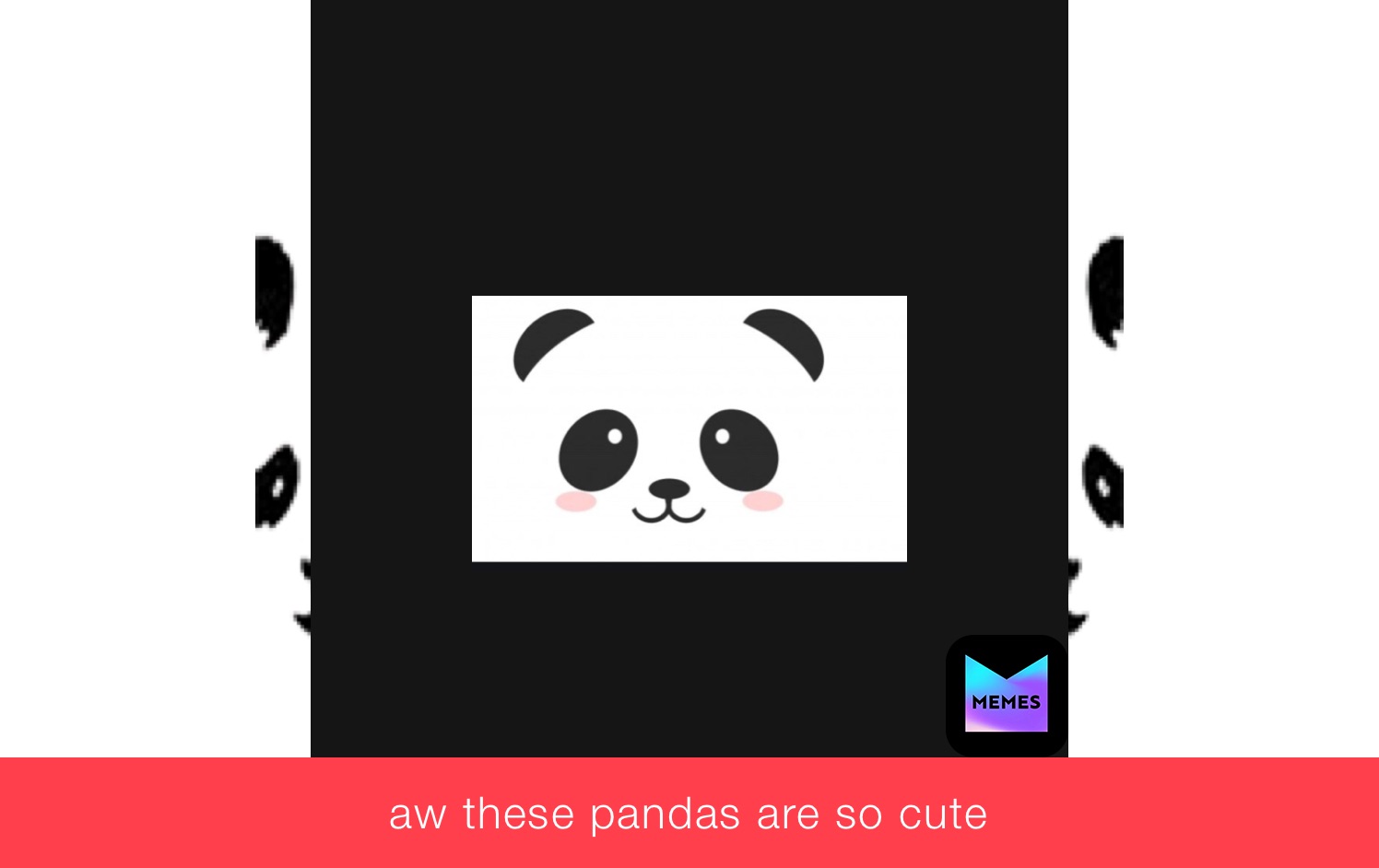 aw these pandas are so cute 