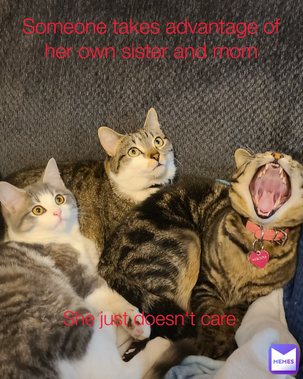 Someone takes advantage of her own sister and mom She just doesn't care