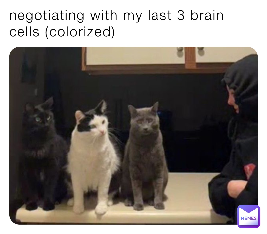 negotiating with my last 3 brain cells (colorized)