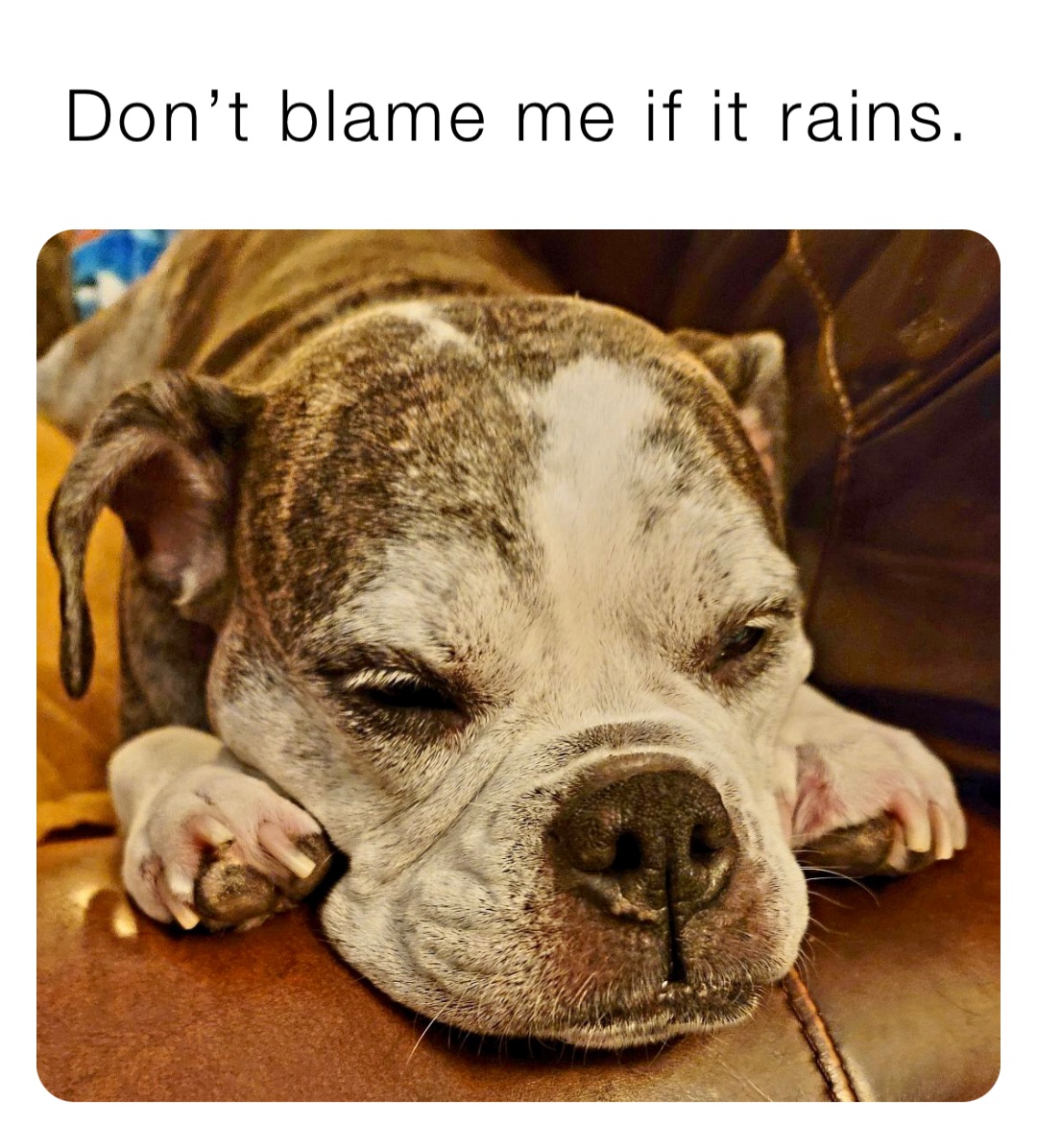 Don’t blame me if it rains.