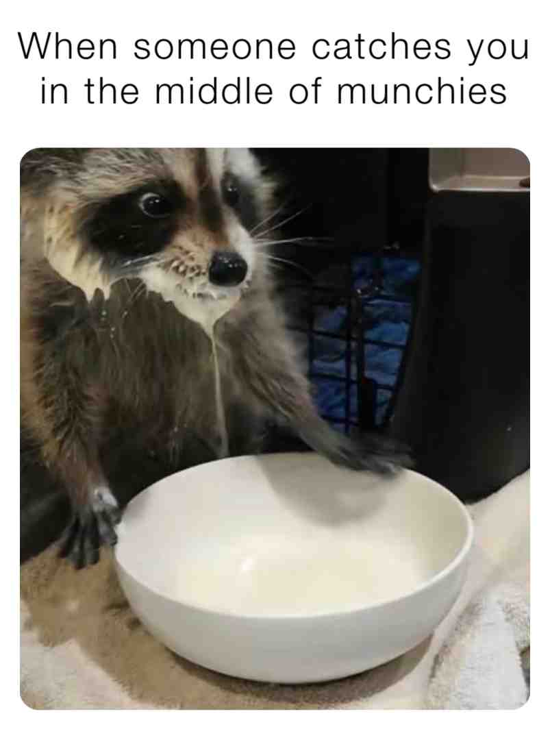 #munchies