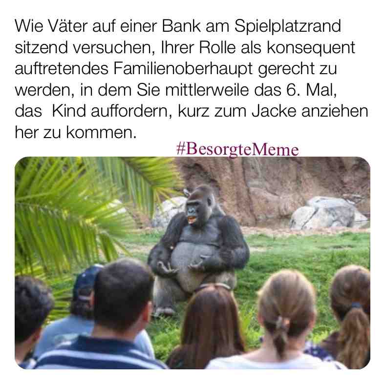 Konsequnter Silberrüken #BesorgteMeme #Eltern #Väter #Kinder #Dad #parenting