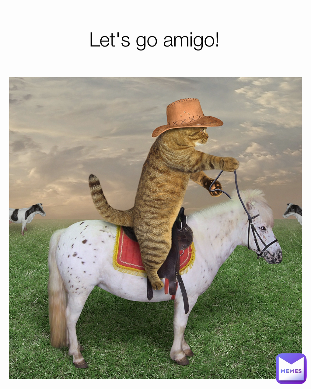 Let's go amigo!