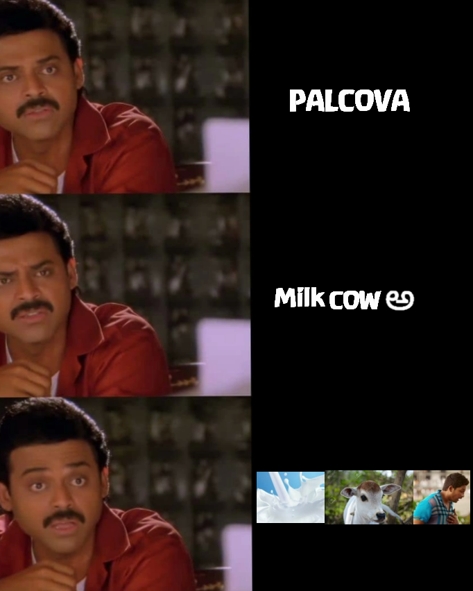 Milk    అ  PALCOVA COW Type Text