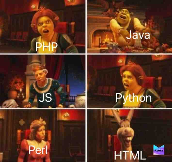 Donkey ! #memes #geek #code #programmer