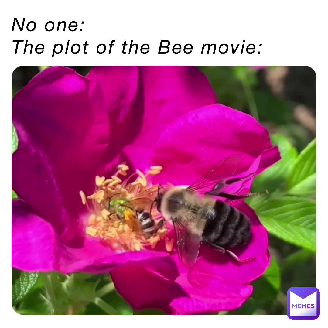 #funny  #bee  #beemovie  #emilypenney05