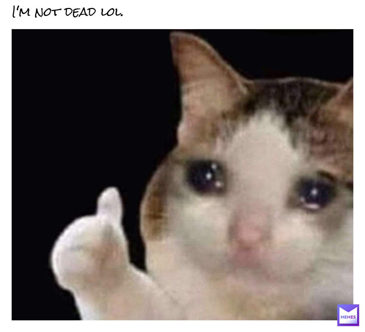 Meme by Pink_IsTheNewBlack