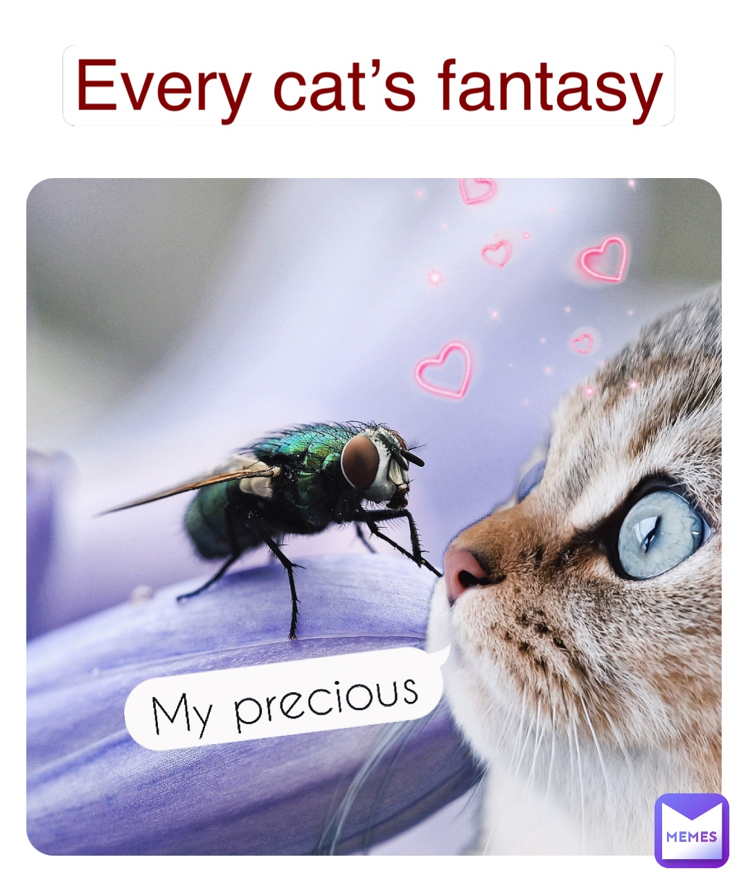 Every cat’s fantasy