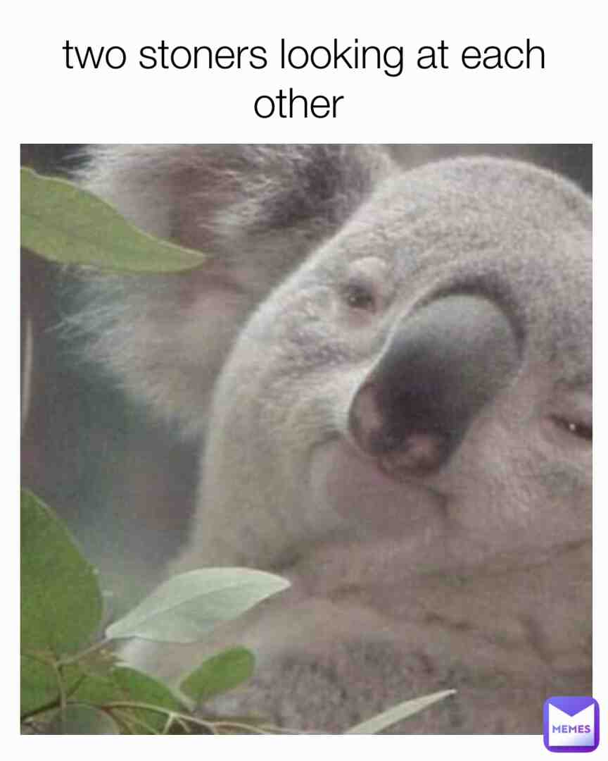 Lol 😂