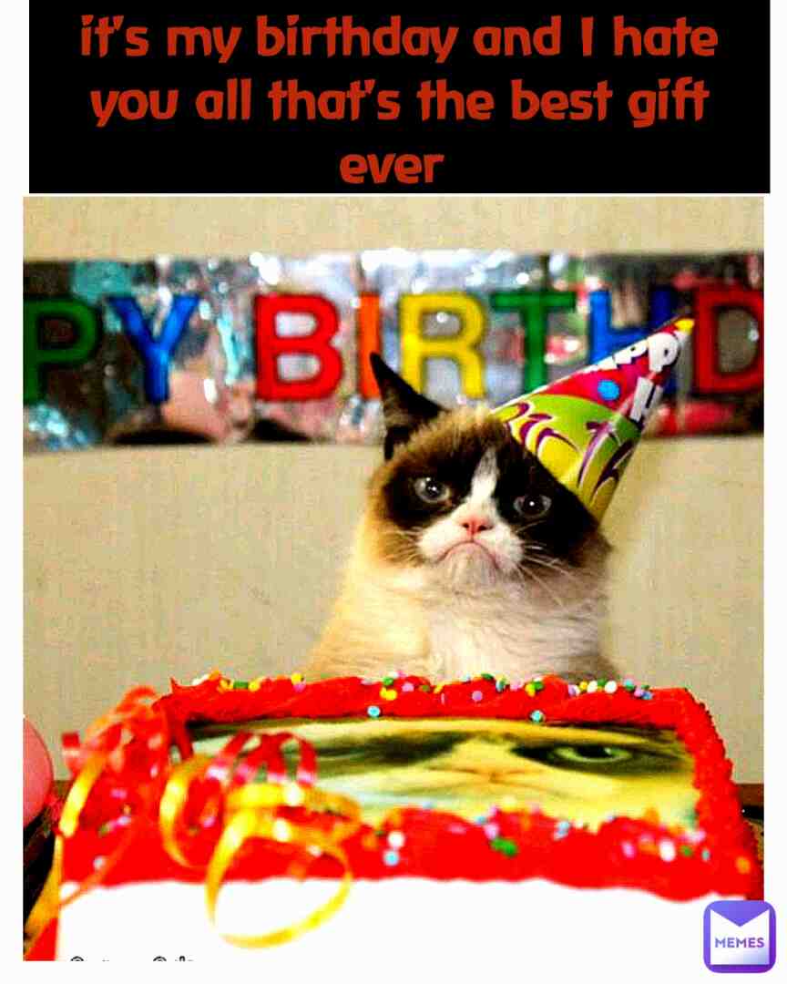 Grumpy cat knows best 😂