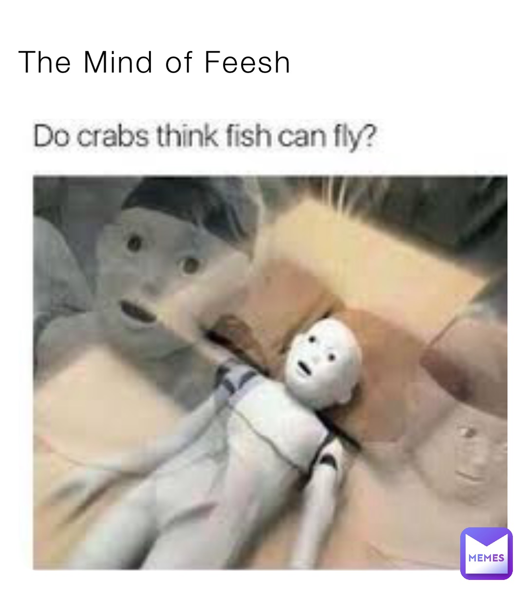 The Mind of Feesh