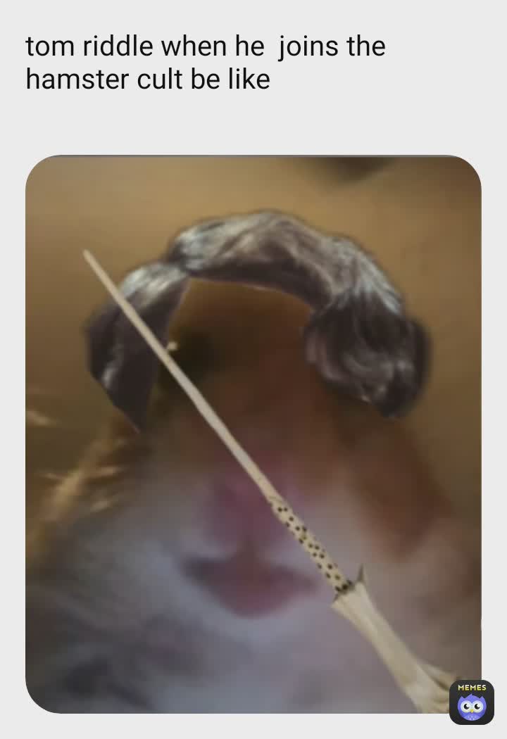 Meme by tom.riddle.memes.123