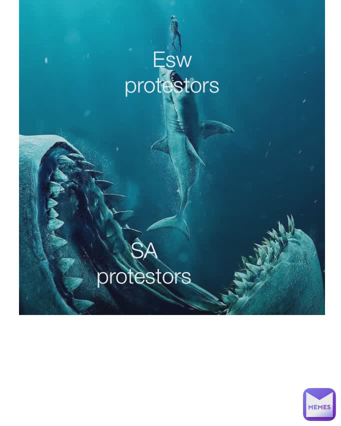 Type Text Esw protestors Esw  protestors SA protestors Es protestos SA protestors Esw protestors