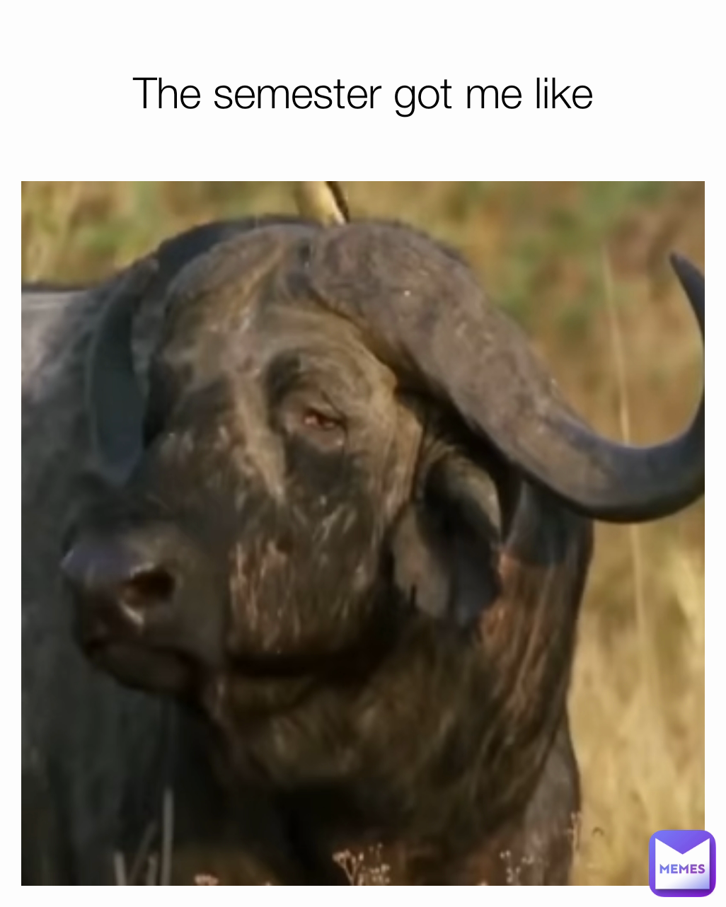 The semester got me like