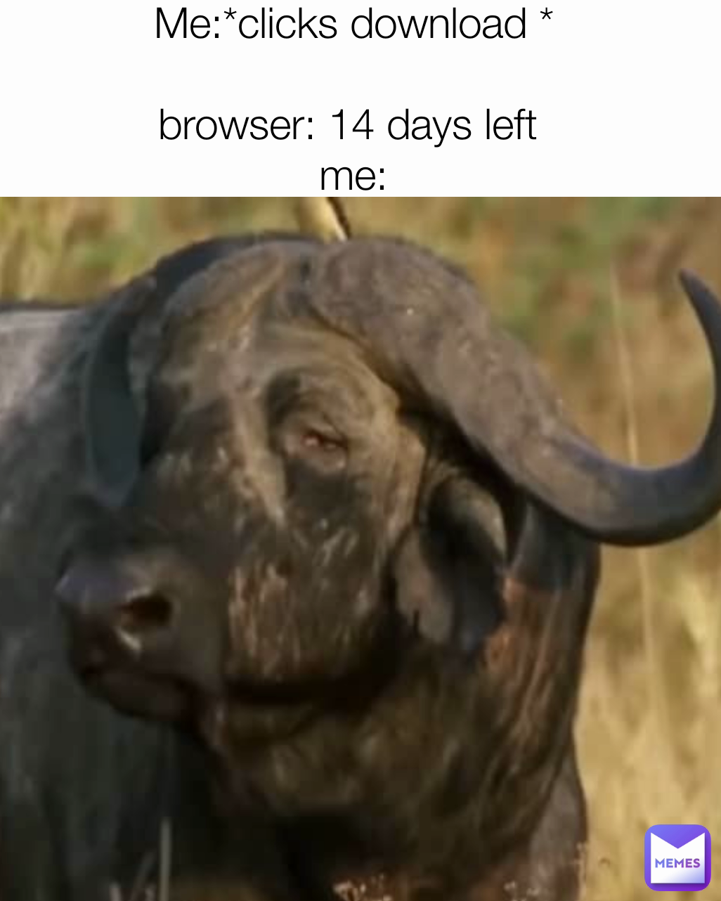 Me:*clicks download *

browser: 14 days left 
me: