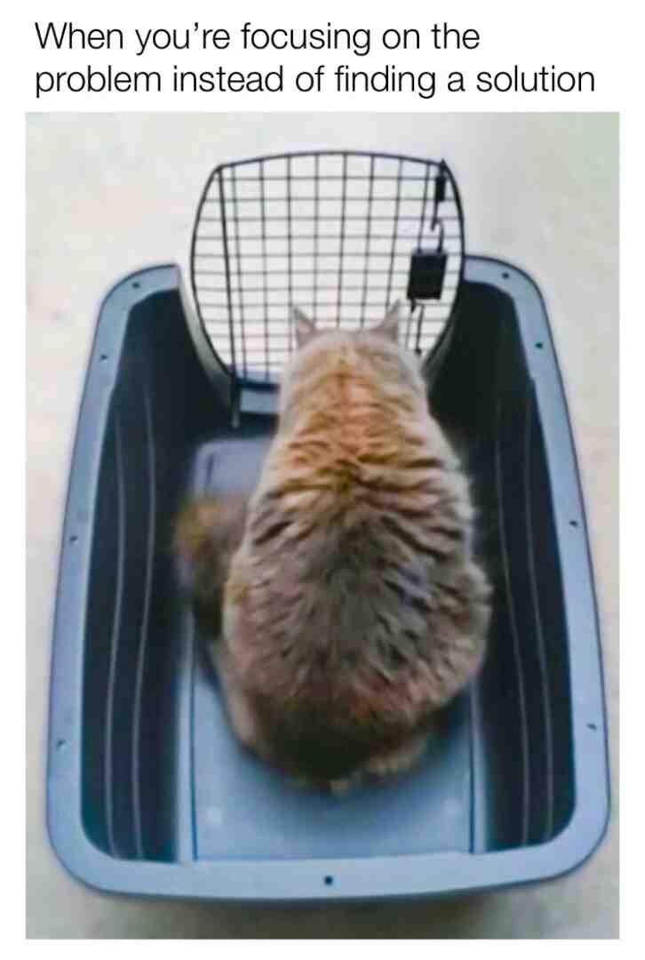 Meme shared by @Hahahhahahhahhahs