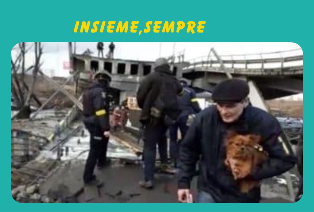 Meme by dr.lenzifabrizio