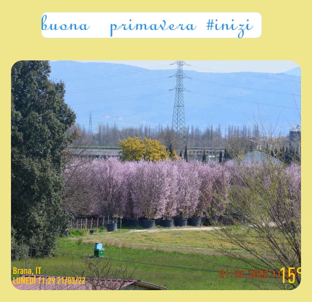 Meme by dr.lenzifabrizio