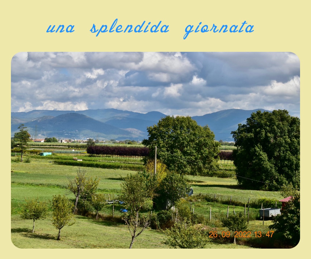 Meme by dr.lenzifabrizio