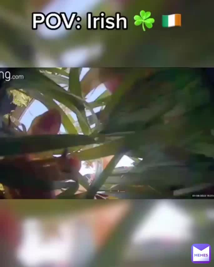 Meme preview