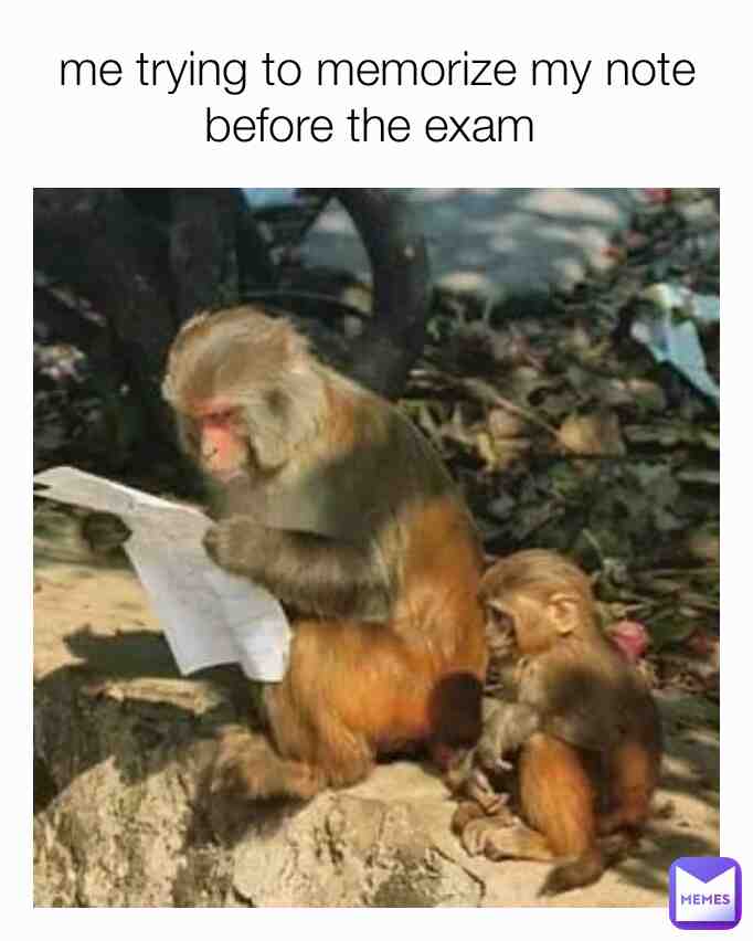 Meme shared by @Sugar21
