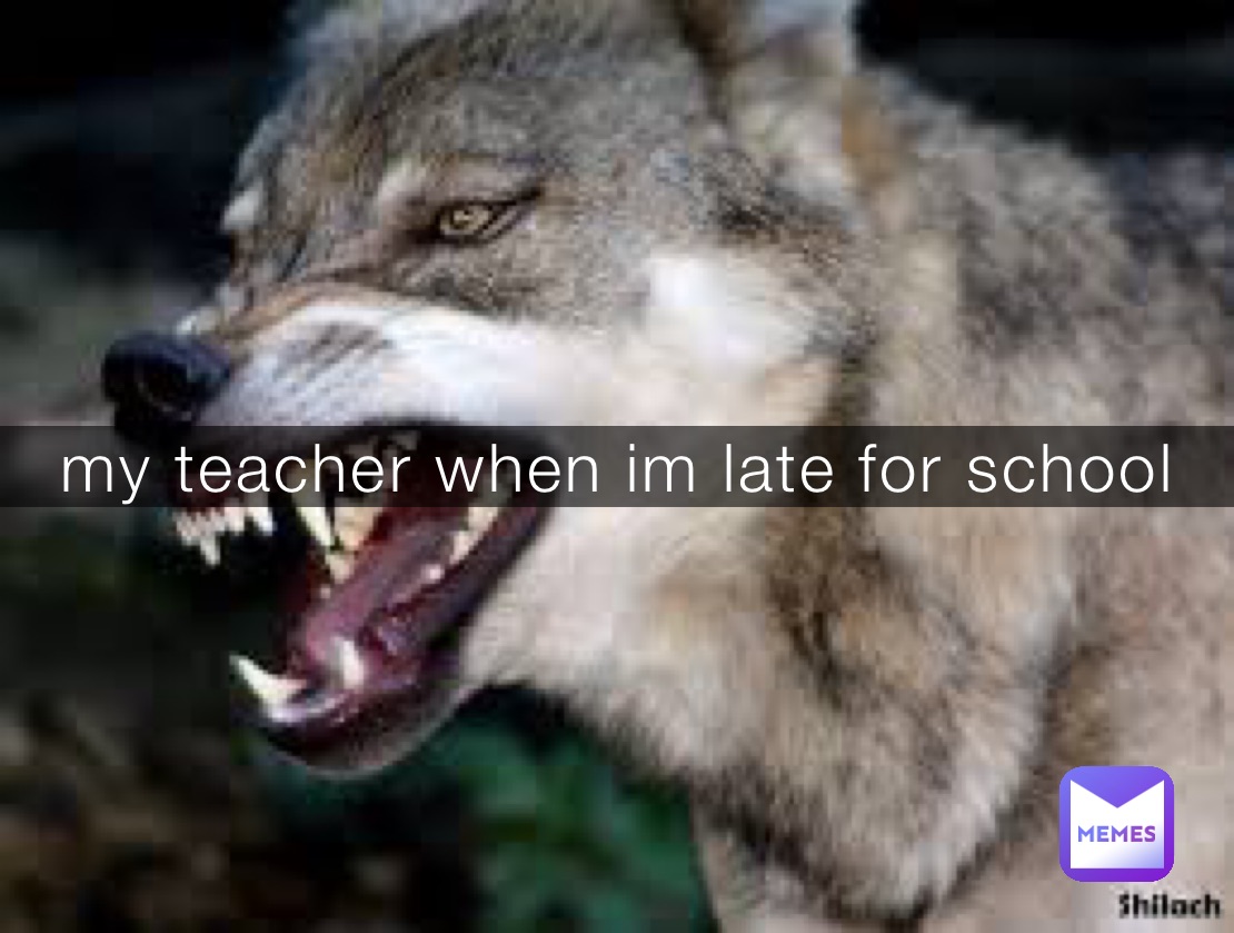 my teacher when im late for school 