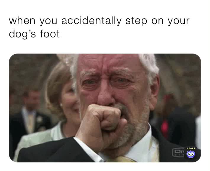 when you accidentally step on your dog’s foot nicoleashley31 Memes