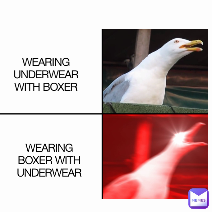 WEARING BOXER WITH UNDERWEAR WEARING UNDERWEAR WITH BOXER HumanBones