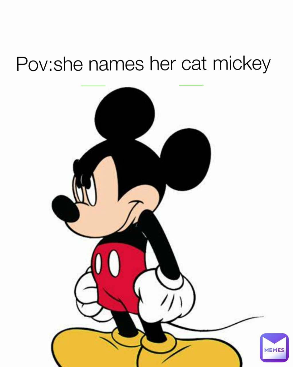 Pov:she names her cat mickey 