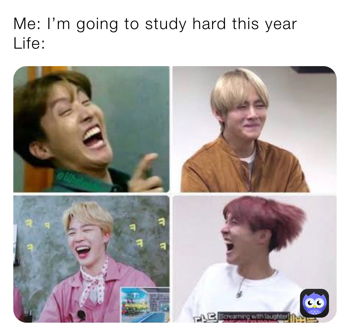 Me: I’m going to study hard this year
Life: