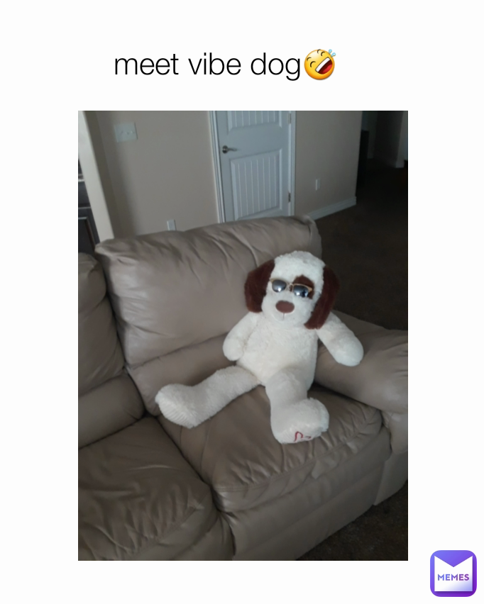 meet vibe dog🤣