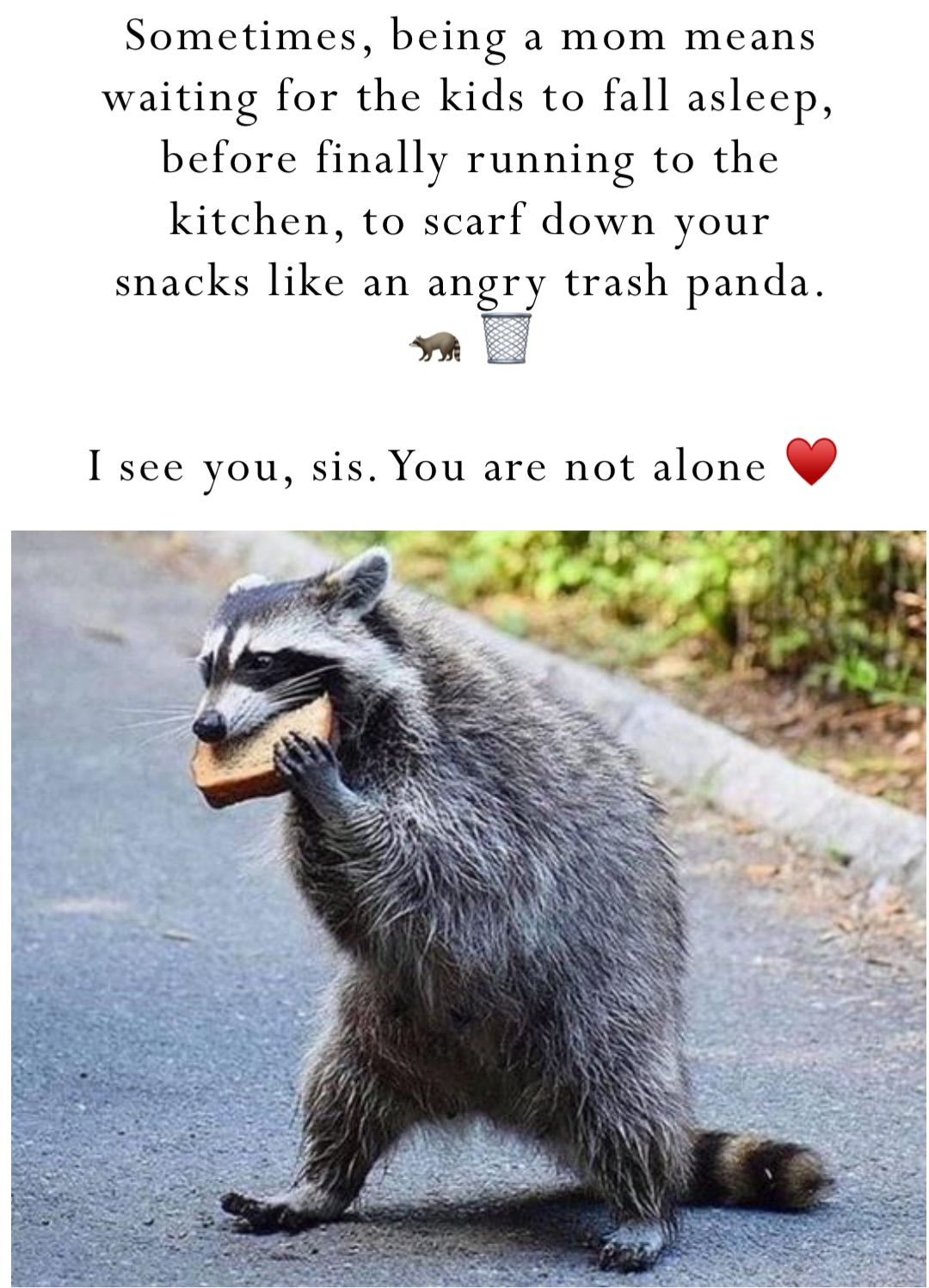 Sometimes, being a mom means waiting for the kids to fall asleep, before finally running to the kitchen, to scarf down your snacks like an angry trash panda. 🦝 🗑 

I see you, sis. You are not alone ♥️