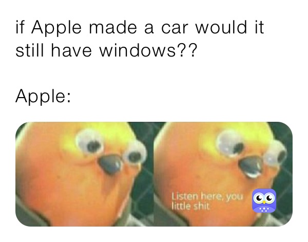 if Apple made a car would it still have windows??

Apple: