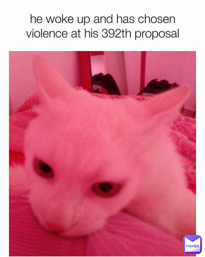 he woke up and has chosen violence at his 392th proposal