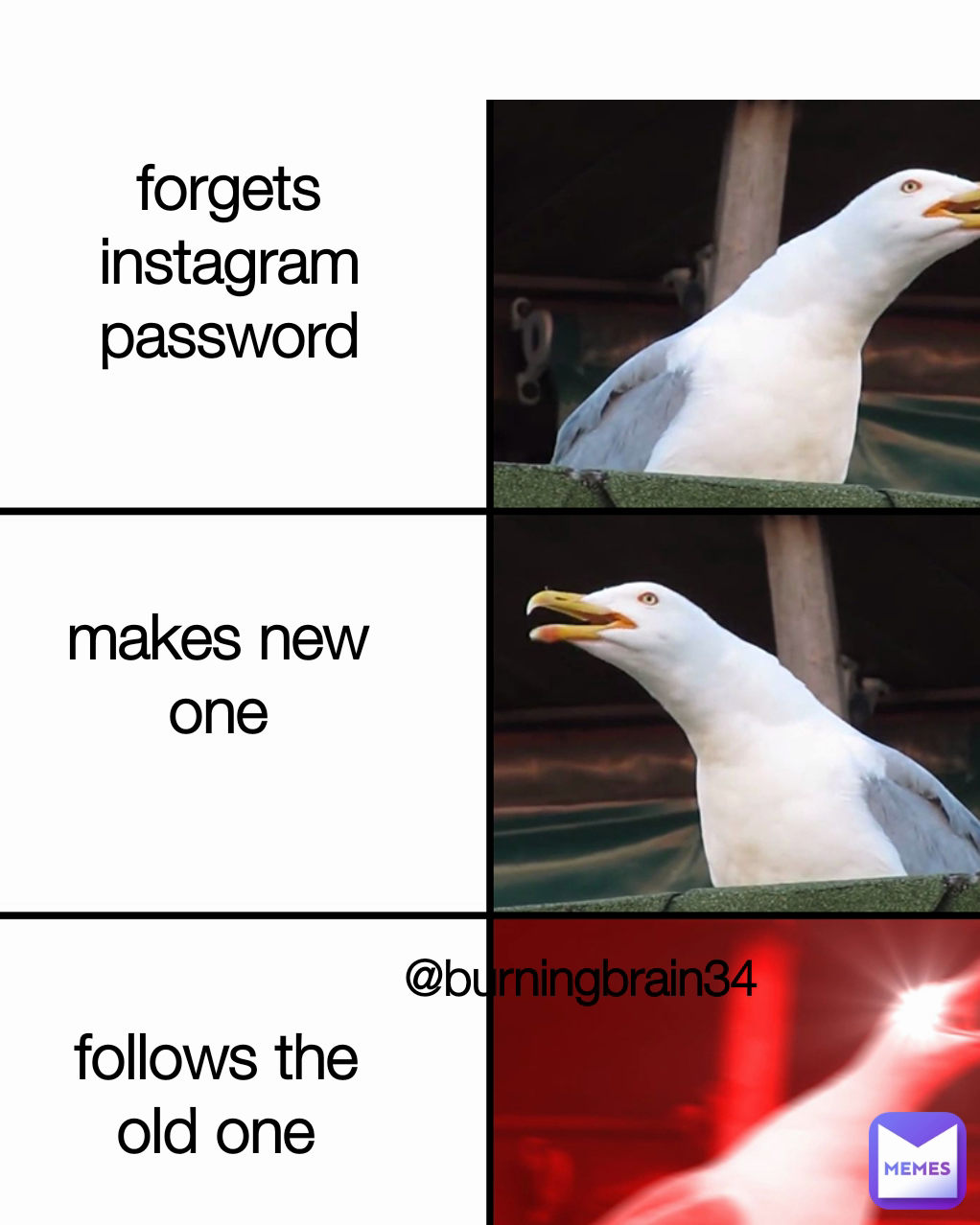 Meme by burning-brain