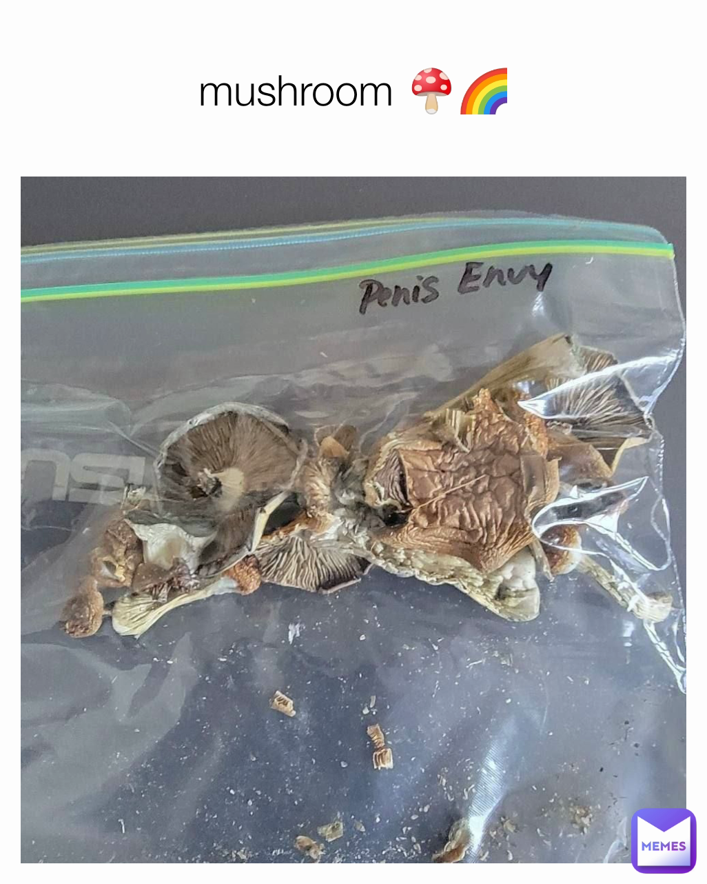 mushroom 🍄🌈