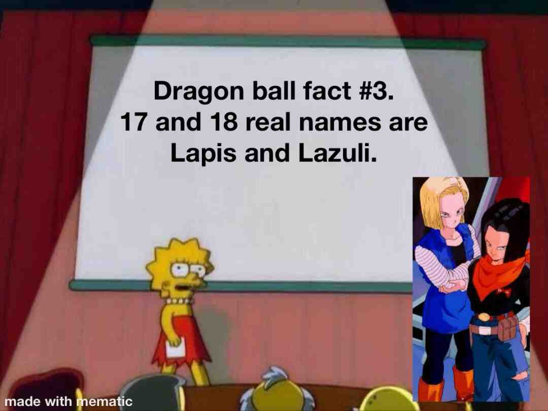 I’m trying to think of intresting dragon ball facts that not much people know of.