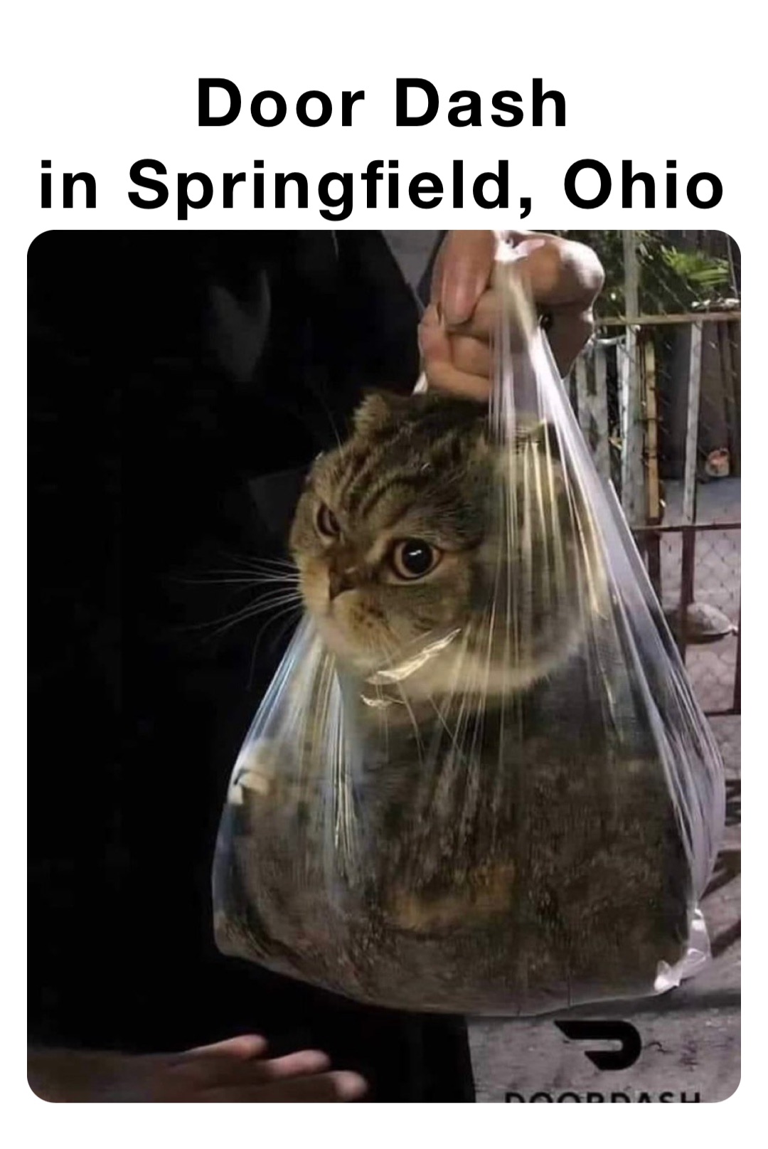 Door Dash
in Springfield, Ohio