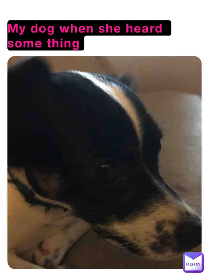 Meme shared by @emmy-duenez