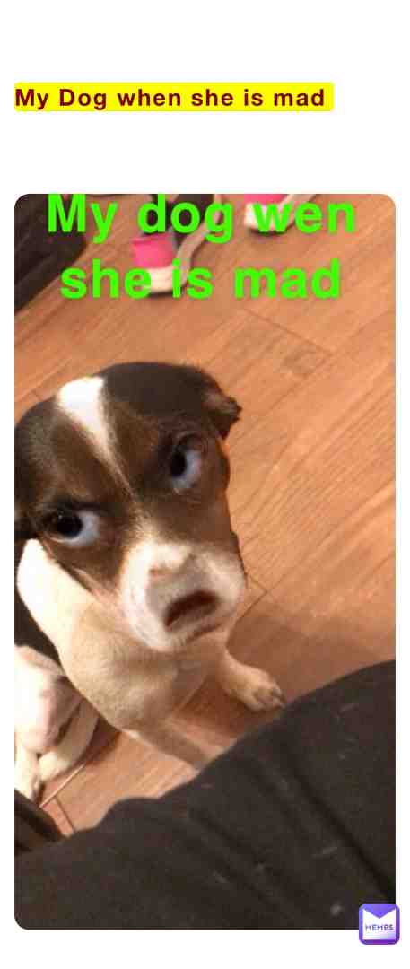 Meme shared by @emmy-duenez