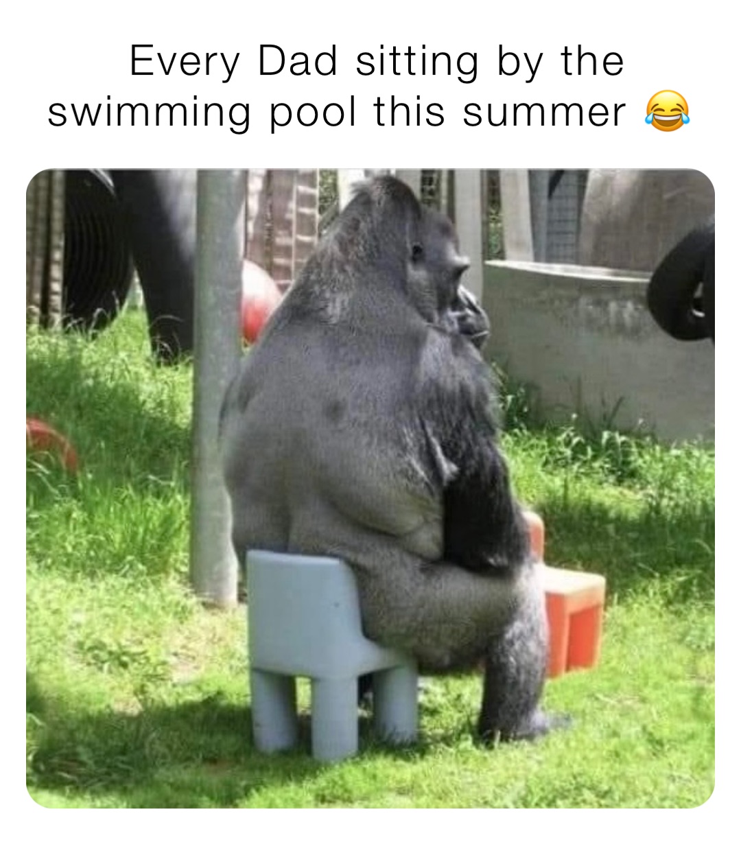 Every Dad sitting by the swimming pool this summer 😂