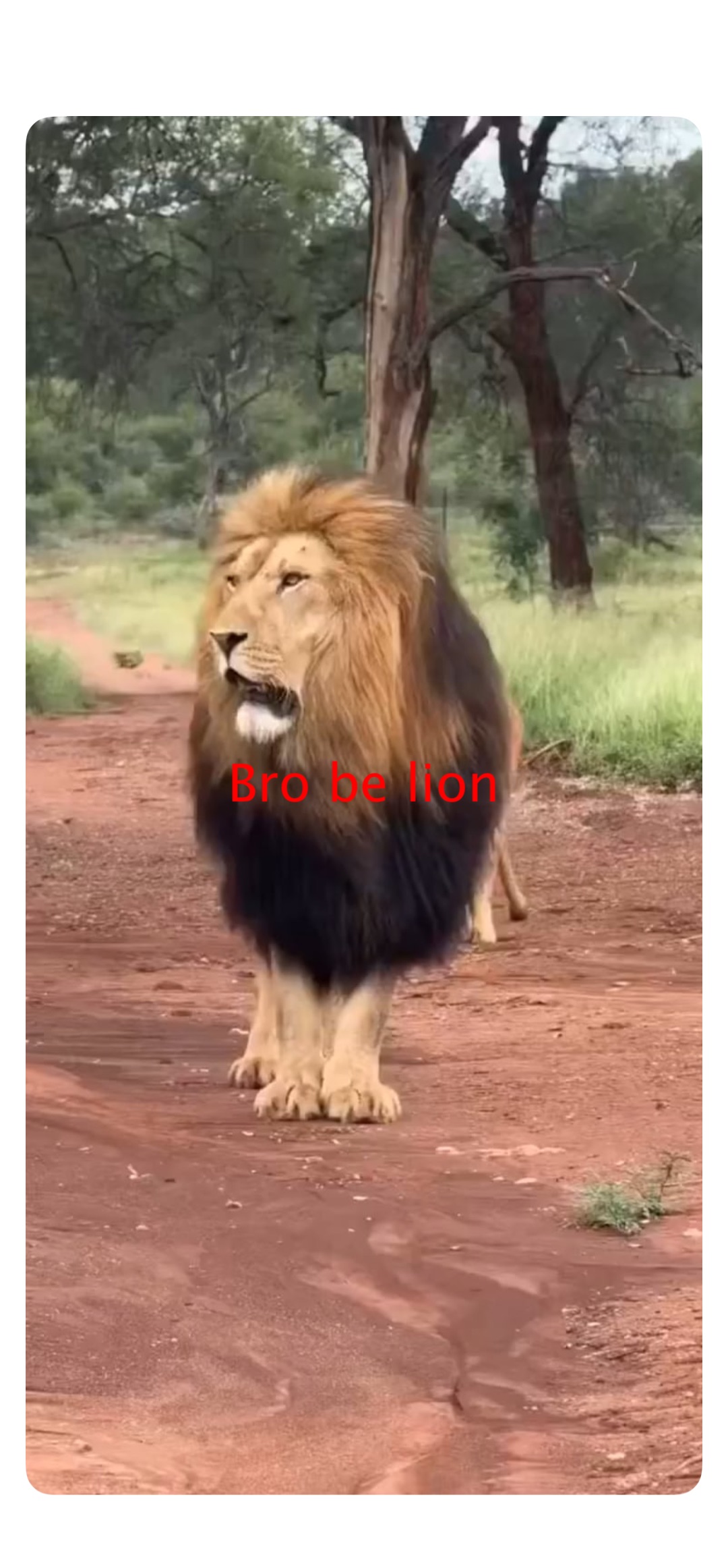 Meme by sputnikglorious5yearplan