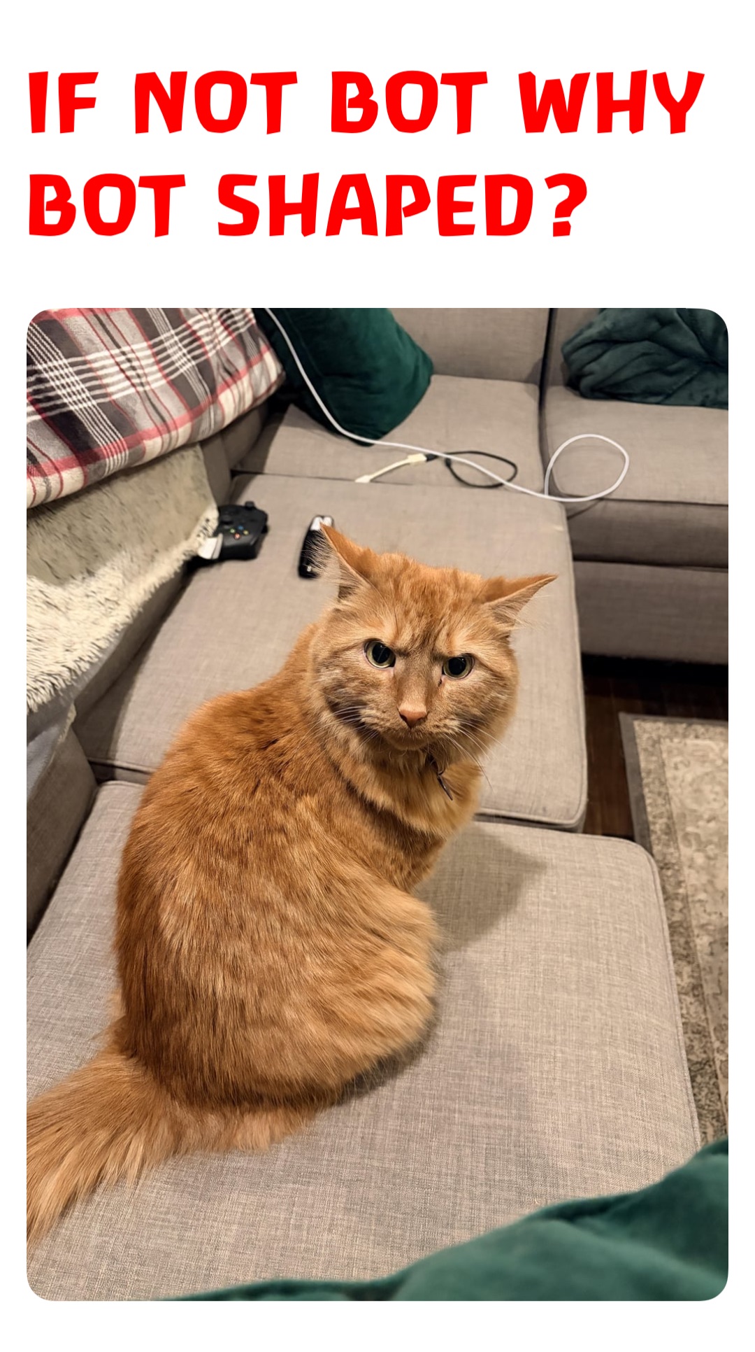 Meme by sputnikglorious5yearplan