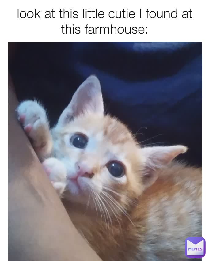 look at this little cutie I found at this farmhouse: