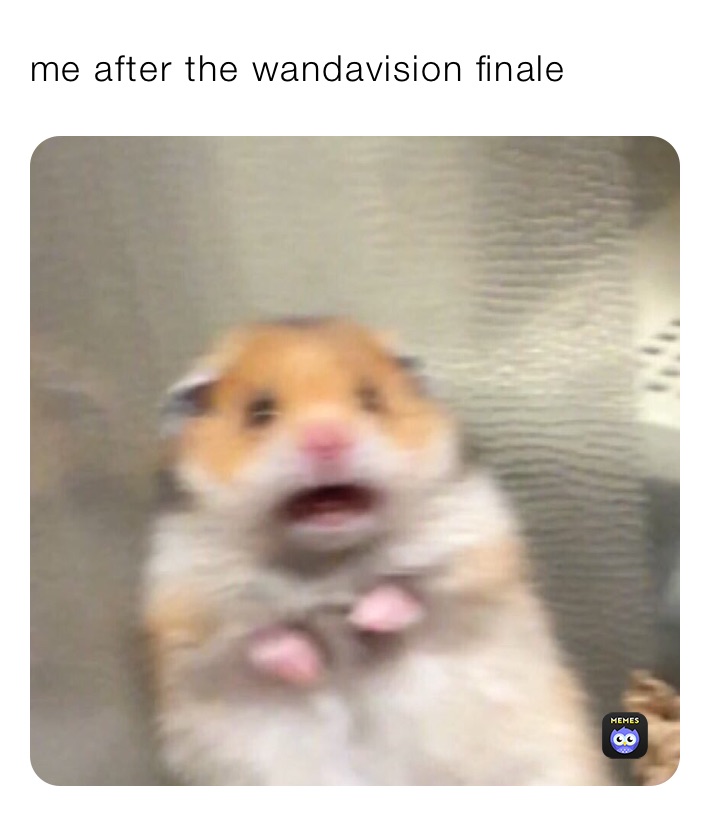 me after the wandavision finale