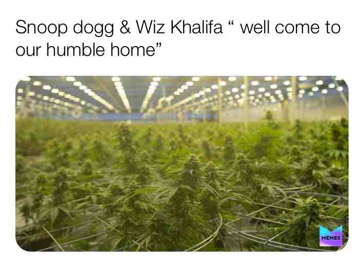 #Snoopdogg #WizKhalifa #dank